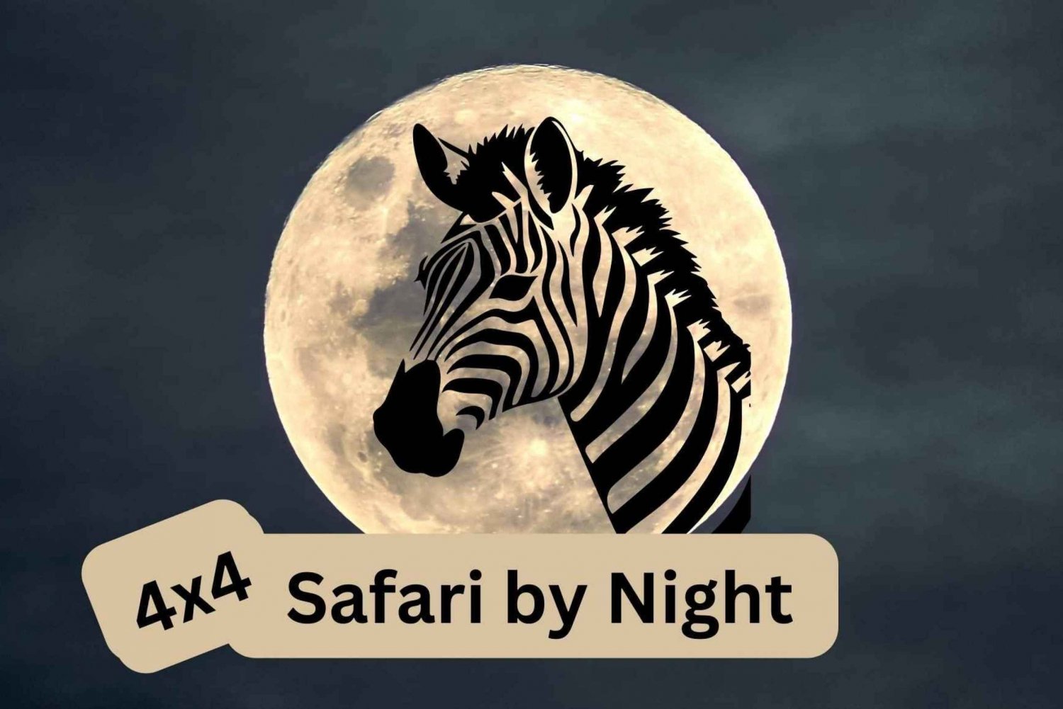 Victoria Falls : Nachtelijke safari in 4x4 rond Vic Falls