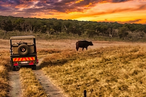 Victoria Falls: Safari Game drive in National Park