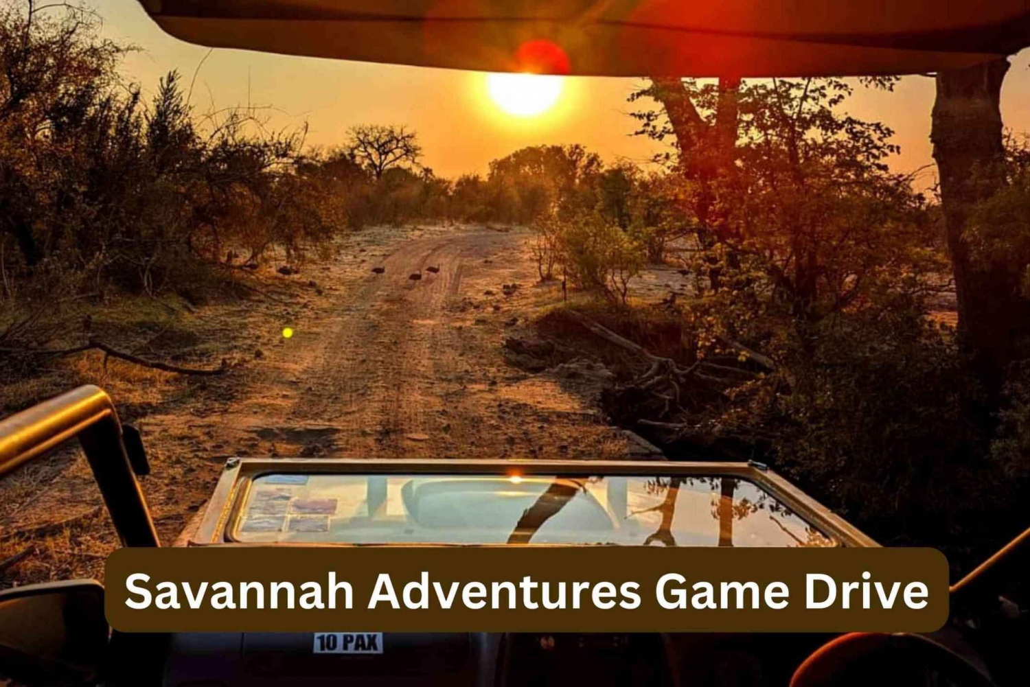 Victoria Falls: Safari Game Drive Savannah Adventures
