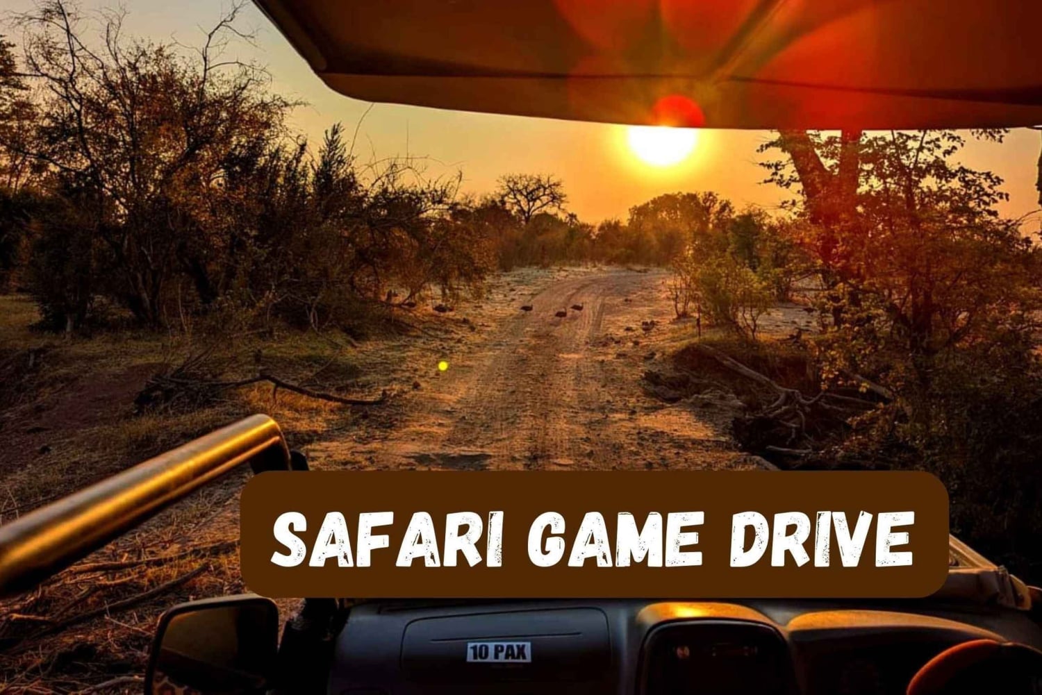 Cataratas Victoria: Safari en coche con servicio de recogida del hotel