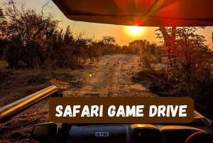 Cataratas Victoria: Safari en coche con servicio de recogida del hotel