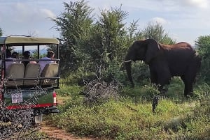 Cataratas Victoria: Safari en coche con servicio de recogida del hotel
