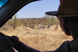 Cataratas Victoria: Safari en coche con servicio de recogida del hotel