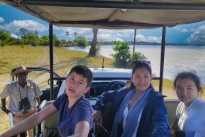 Cataratas Victoria: Safari en coche