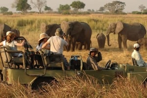 Victoria Falls Safari with Lunch and Sunset Cruise