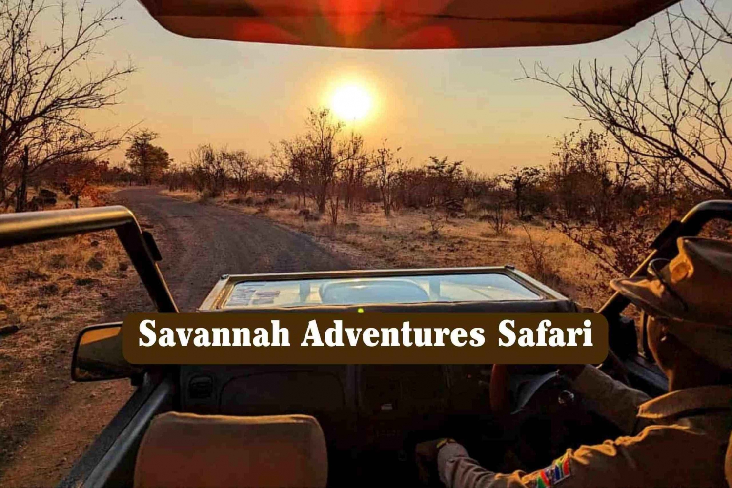 Wodospady Wiktorii: Savannah Adventures Safaris