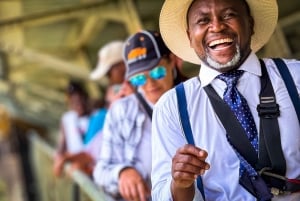 Victoria Falls: Scenic Flight, Bridge Tour & Sunset Cruise