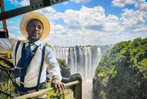 Victoria Falls: Scenic Flight, Bridge Tour & Sunset Cruise
