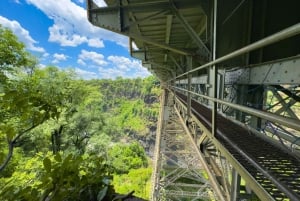 Victoria Falls: Scenic Flight, Bridge Tour & Sunset Cruise