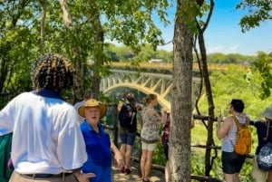 Victoria Falls: Scenic Flight, Bridge Tour & Sunset Cruise