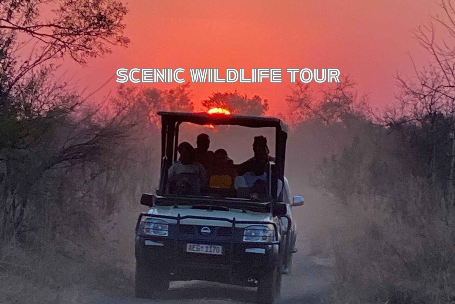 Victoria Falls: Scenic Wildlife Tour