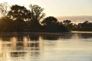 Victoriawatervallen: cruise bij zonsopgang op de Zambezi-rivier