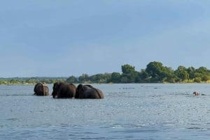 Victoria Falls: Sunset Cruise on the Zambezi River