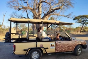 Victoria Falls: Sunset Safari + Tour of Victoria Falls Town