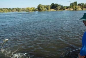 Victoria Falls: Tiger Fishing Trip on the Zambezi River