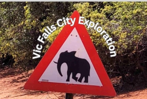 Victoria Falls Town: guidad safari i staden
