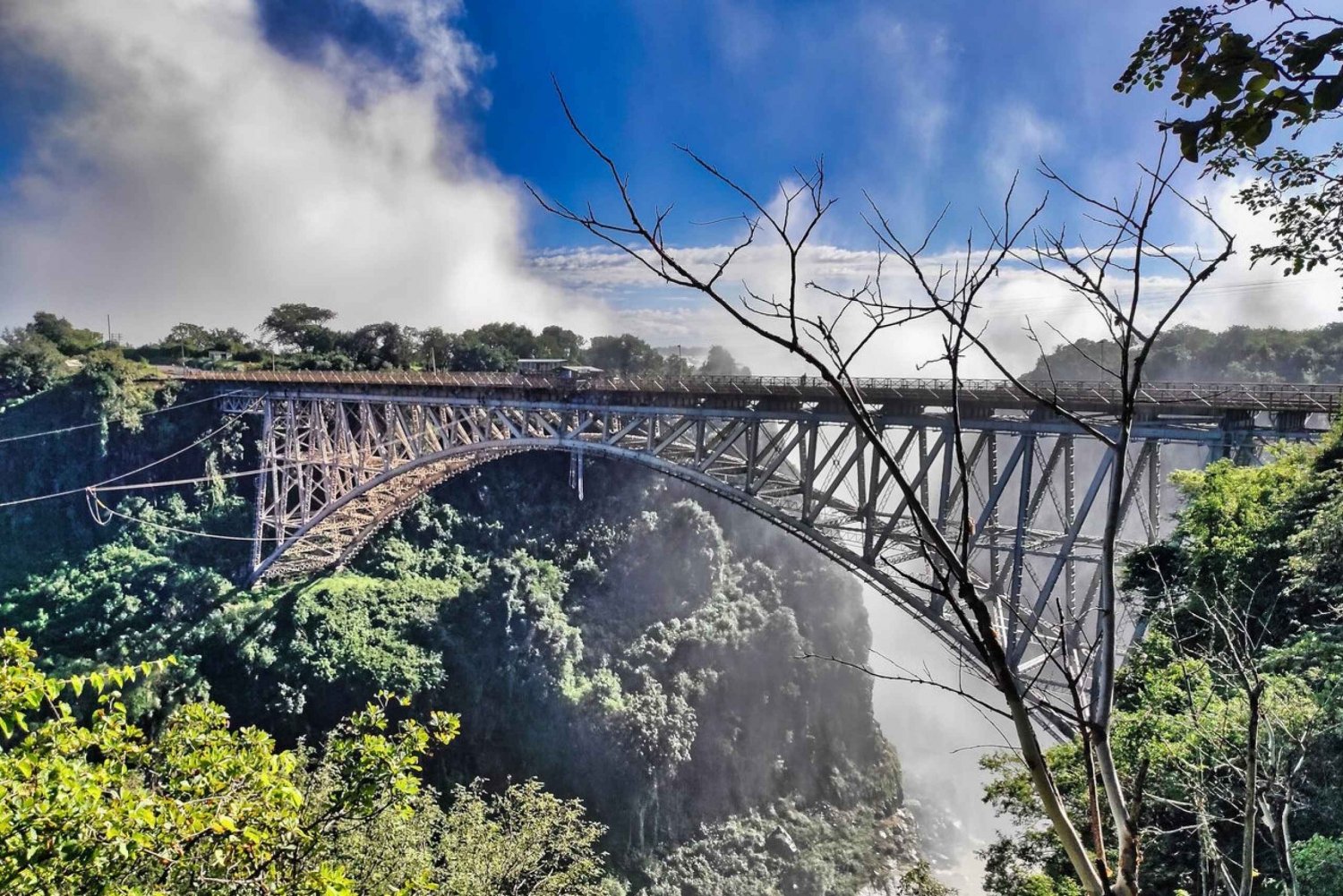 Victoria Falls: Walking Safari to Bridge + view the Falls