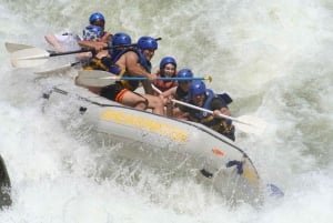 Victoria Falls: Whitewater Rafting Experience