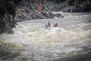 Victoria Falls: Whitewater Rafting Experience