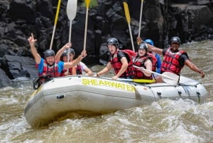 Cataratas Victoria: Experiencia de rafting en aguas bravas
