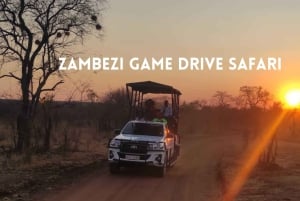 Victorian putoukset: Sambesi Game Drive Safari