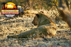 Victoriafallene: Safari i Zambezi nasjonalpark
