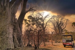 Victorian putoukset: Sambesin kansallispuiston safari