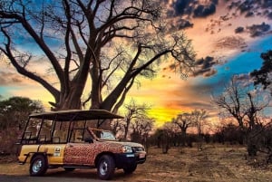 Victorian putoukset: Sambesin kansallispuiston safari