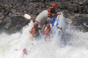 Victoria Falls: Zambezi River White Water Rafting