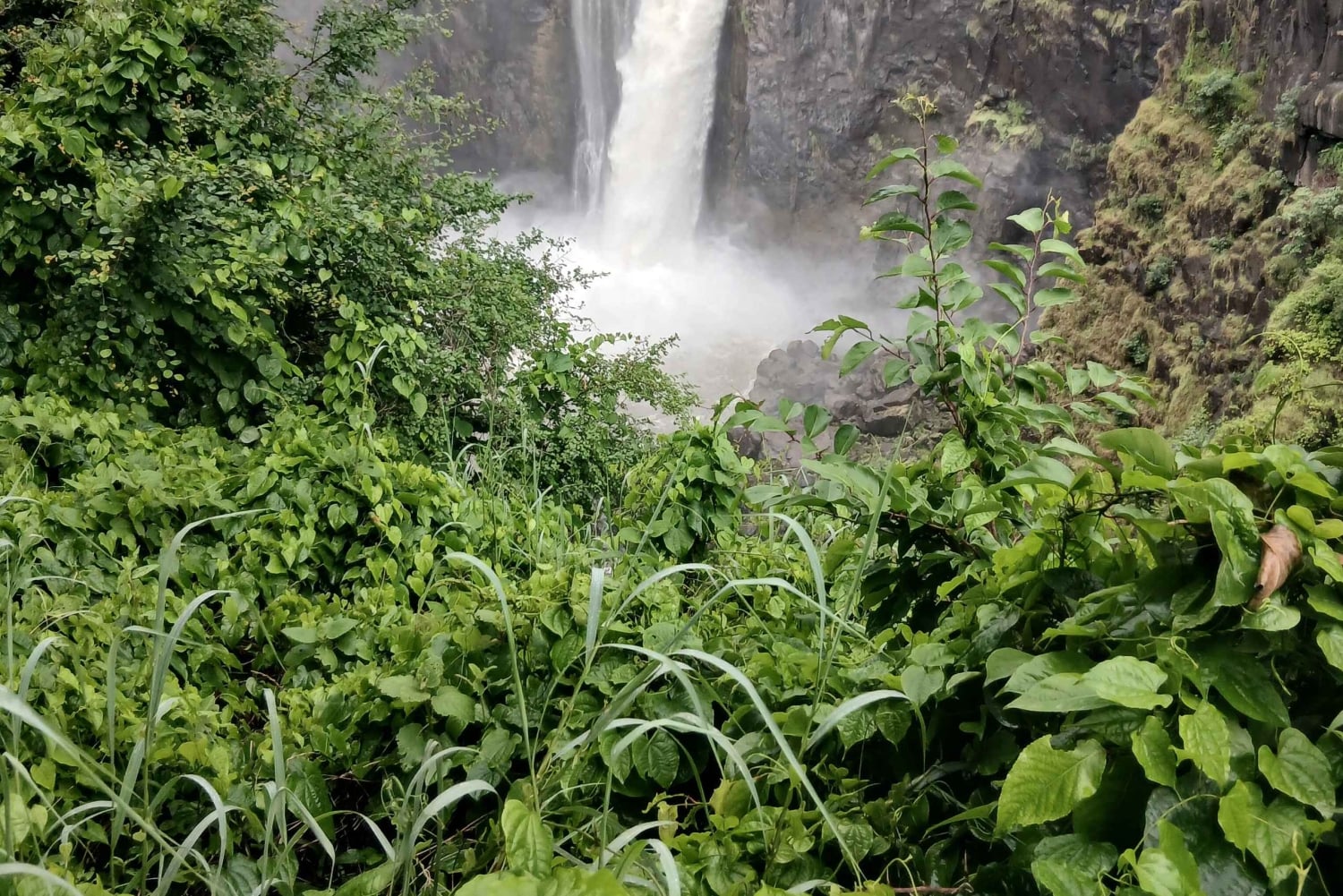 Victoria Falls: Zimbabwe and Zambia side Guided tour