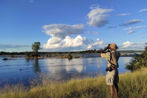Zambezi Nationaal Park: 4x4 gamedrive bij Victoria Watervallen