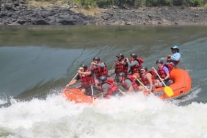 5 dagars forsränningsäventyr i Zambezifloden
