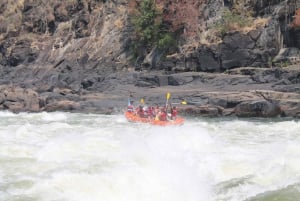 5 dagars forsränningsäventyr i Zambezifloden