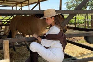 Zambia: Half-Day Horse Riding Safari + Lunch