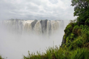 Zambia: Victoria Falls Guided Tour