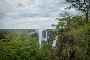 Zambia: Victoria Falls Wycieczka z przewodnikiem