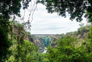Zambia: Guidad tur till Victoriafallen
