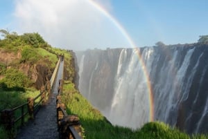 Zambia: Guidet tur til Victoriafallene