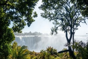 Zambie : Visite guidée des chutes Victoria