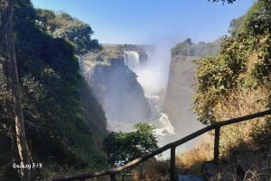 Zimbabwe och Zambia sida :Privat guidad tur till fallen