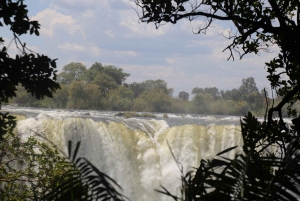 Zimbabwe og Zambia: Guidet tur til vandfaldene fra begge sider