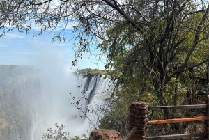 Со стороны Зимбабве и Замбии :Частная экскурсия с гидом к водопадам