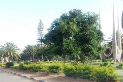 High Court Roundabout