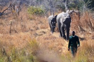 Kafue Release Facility - Kafue National Park