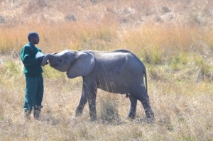 Kafue Release Facility - Kafue National Park