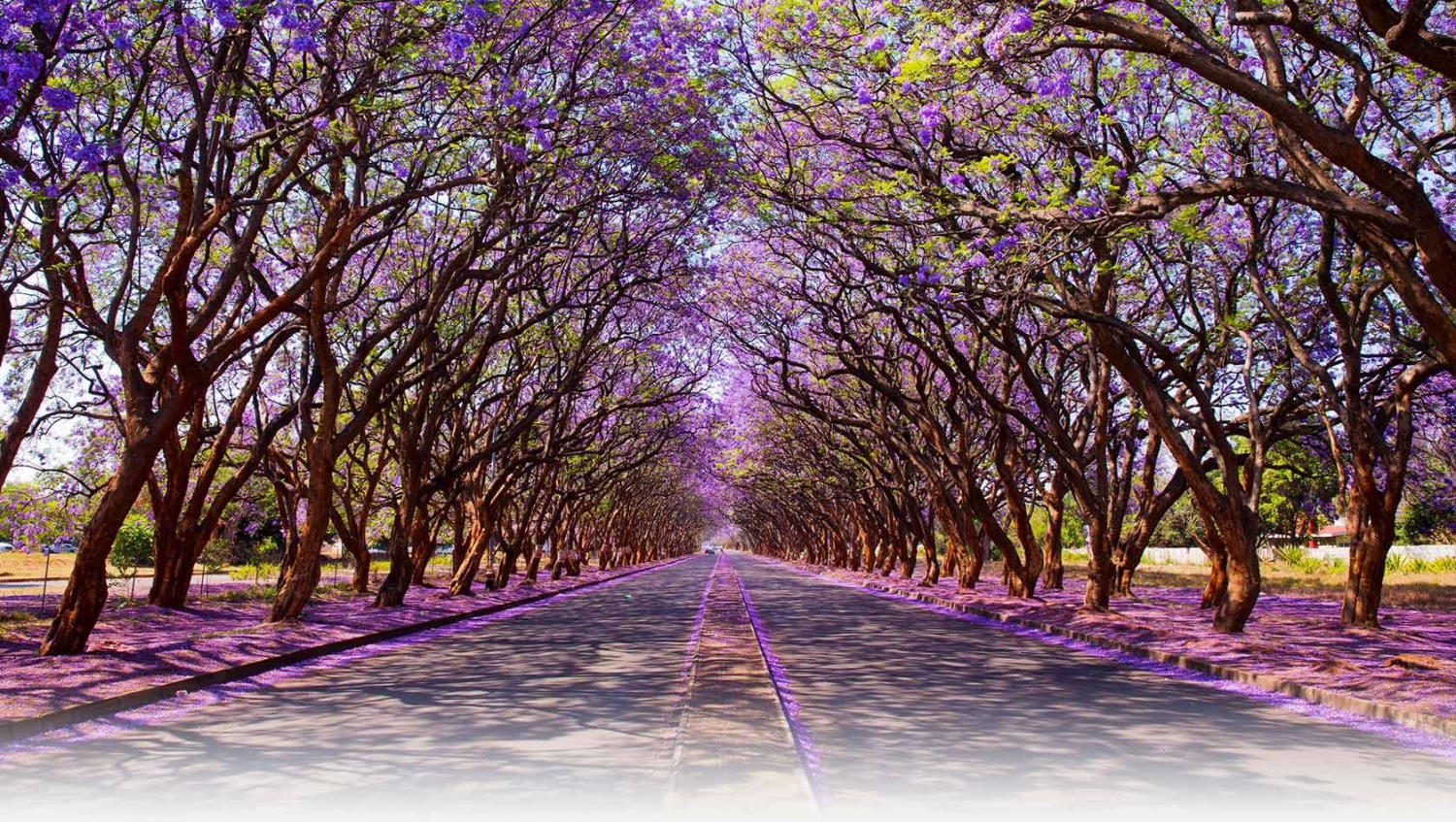Zimbabwe Travel Guide