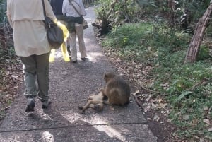 Victoria Falls & Helicopter Flight