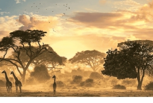 3-tägige klassische Victoria Falls Wonder Tour