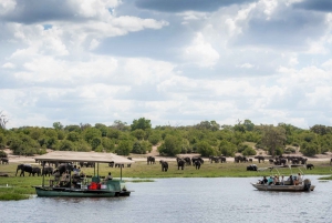 3-Day From Victoria Falls -Hwange National Park Safari