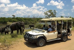 3-Day Victoria Falls Adventure with Canoeing Safari